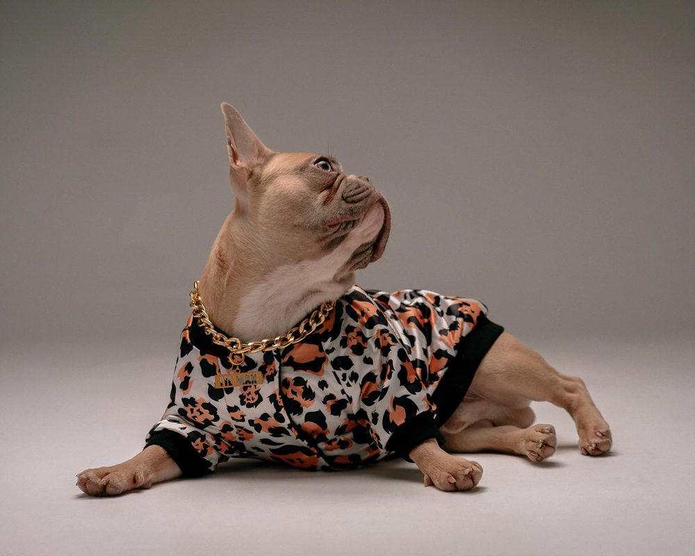 Wolf - Accesorios para Mascotas